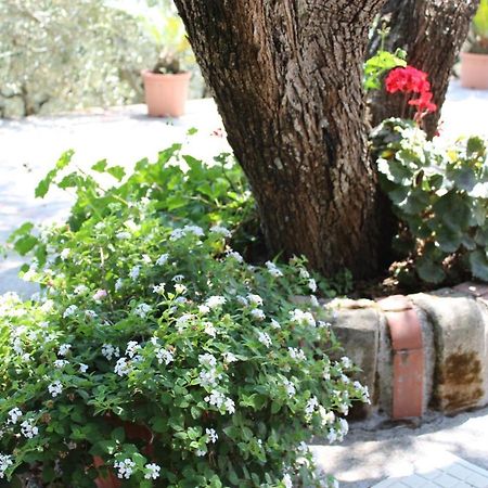 Casa Josella Villa Massa Lubrense Dış mekan fotoğraf