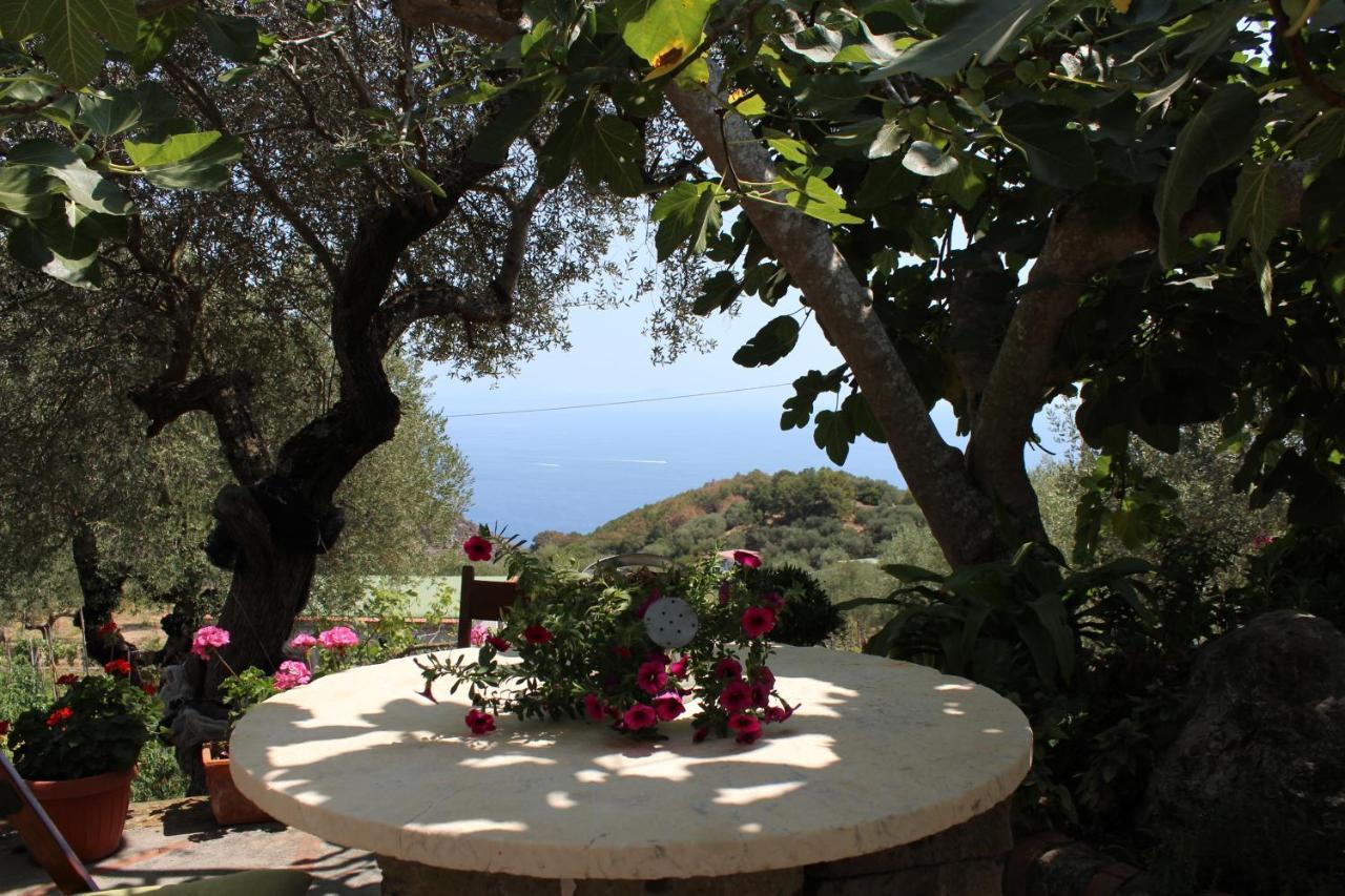 Casa Josella Villa Massa Lubrense Dış mekan fotoğraf