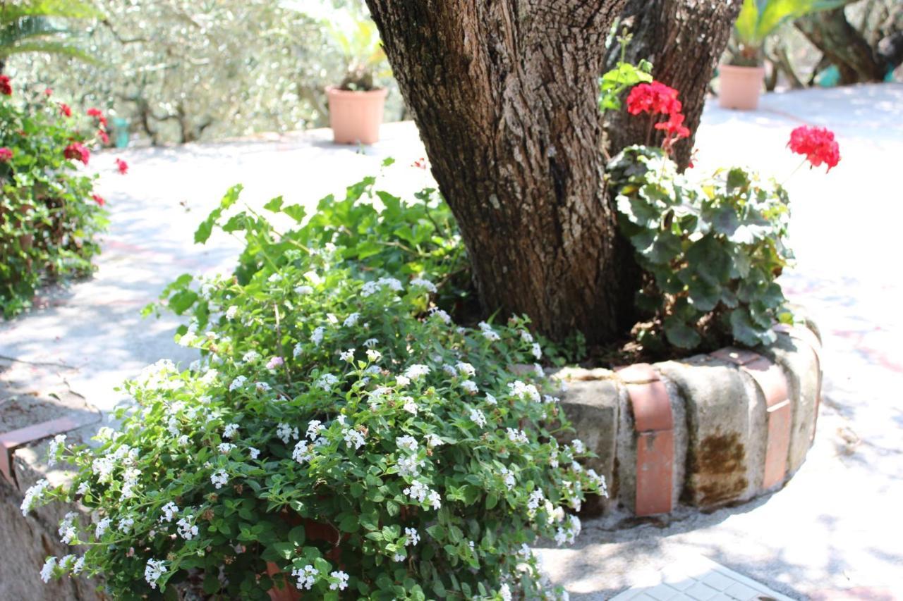 Casa Josella Villa Massa Lubrense Dış mekan fotoğraf