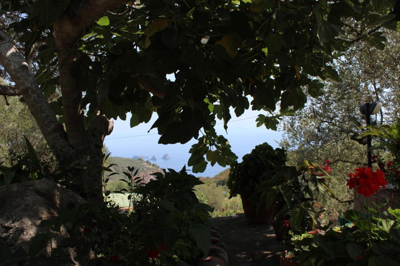 Casa Josella Villa Massa Lubrense Dış mekan fotoğraf