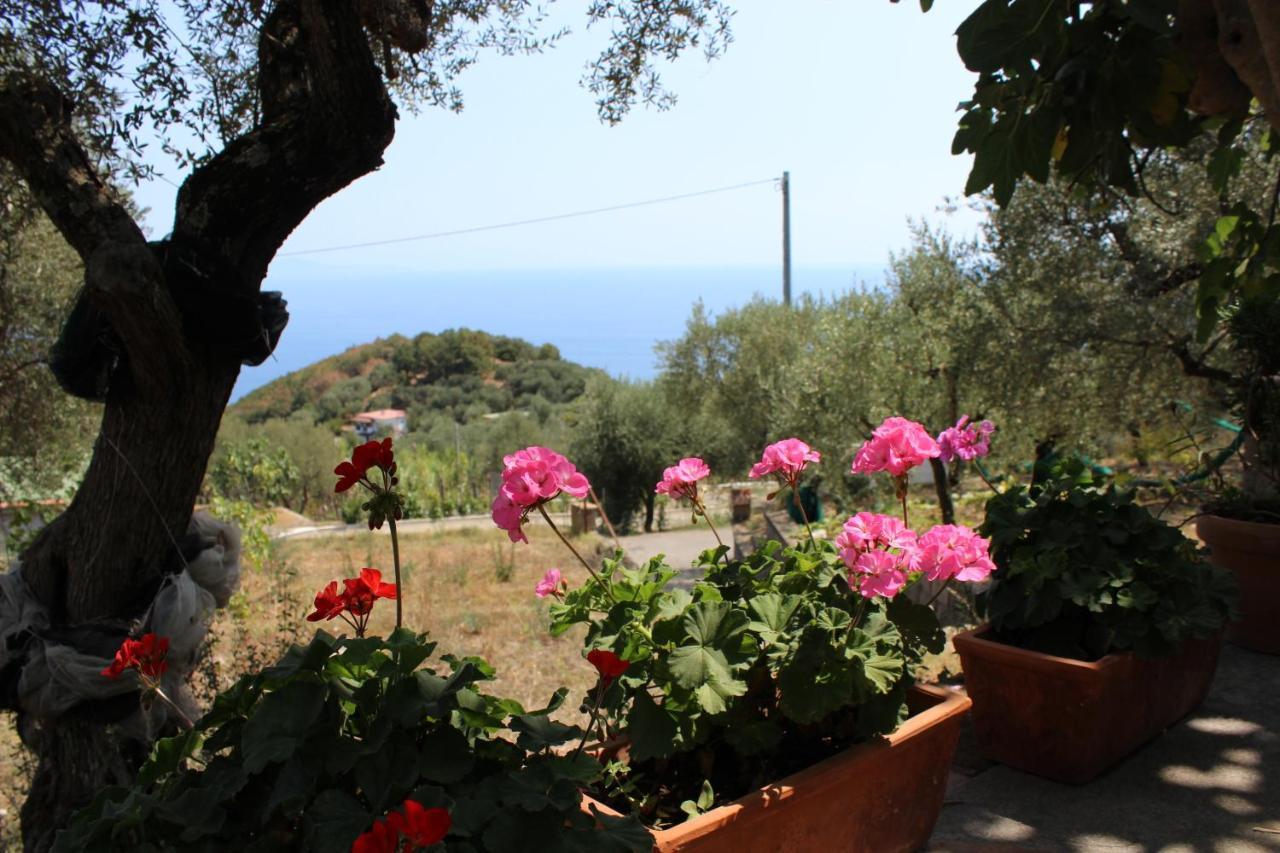 Casa Josella Villa Massa Lubrense Dış mekan fotoğraf