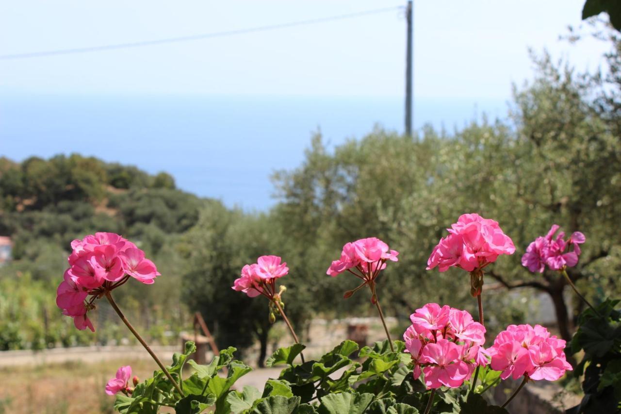 Casa Josella Villa Massa Lubrense Dış mekan fotoğraf