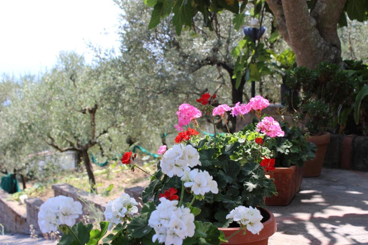 Casa Josella Villa Massa Lubrense Dış mekan fotoğraf