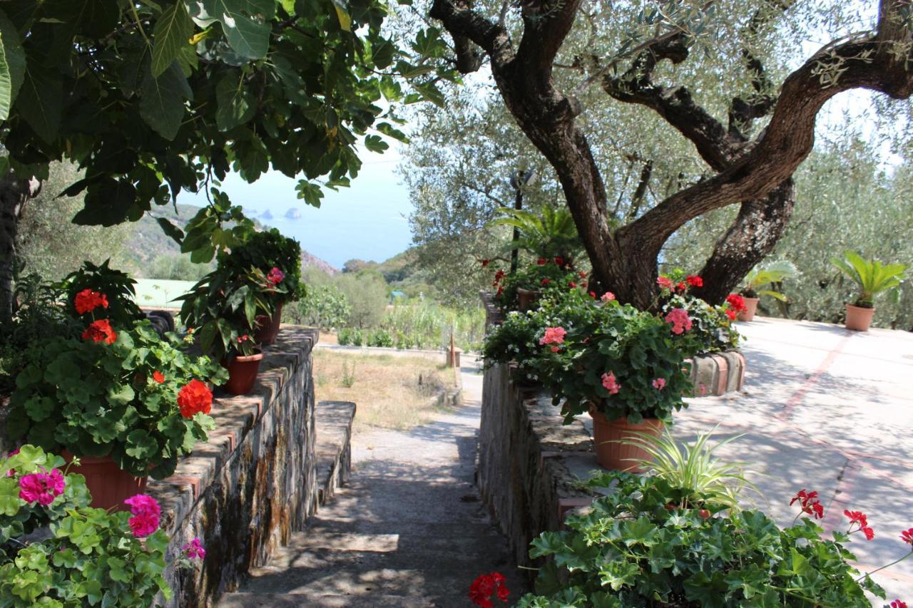 Casa Josella Villa Massa Lubrense Dış mekan fotoğraf