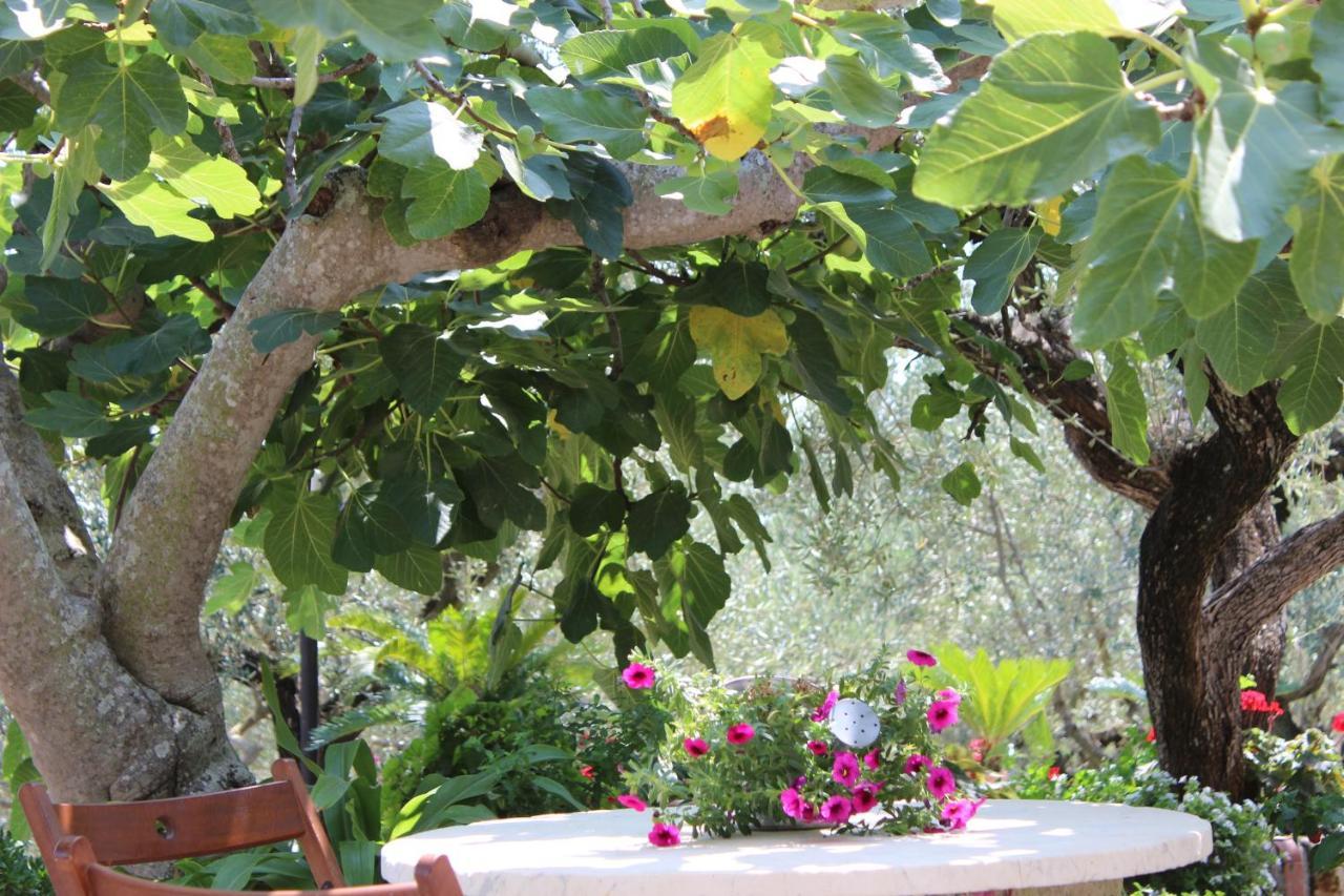 Casa Josella Villa Massa Lubrense Dış mekan fotoğraf