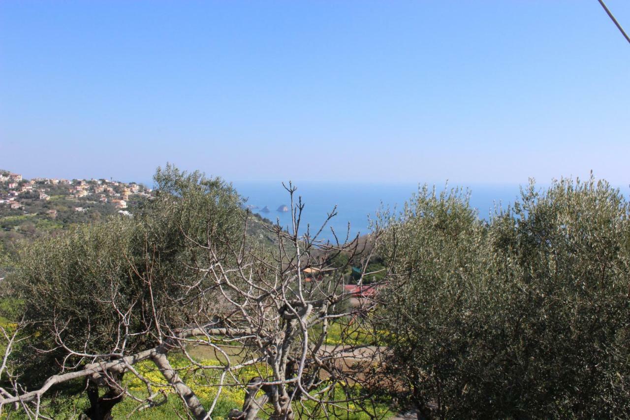 Casa Josella Villa Massa Lubrense Dış mekan fotoğraf