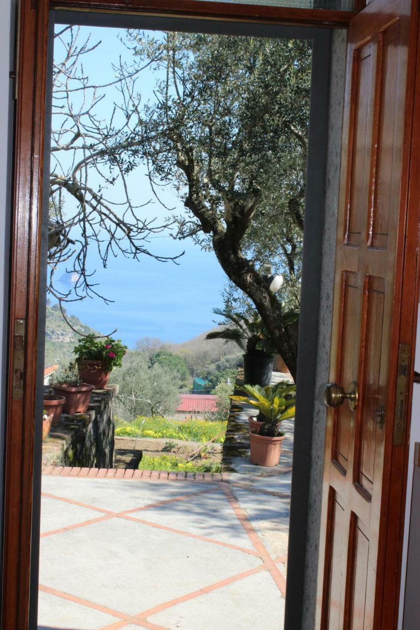 Casa Josella Villa Massa Lubrense Dış mekan fotoğraf
