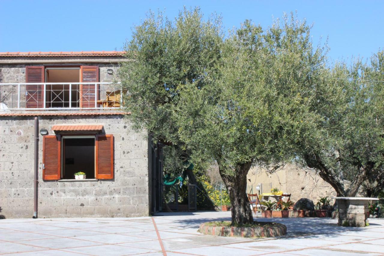 Casa Josella Villa Massa Lubrense Dış mekan fotoğraf