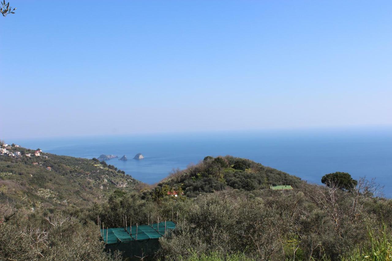Casa Josella Villa Massa Lubrense Dış mekan fotoğraf