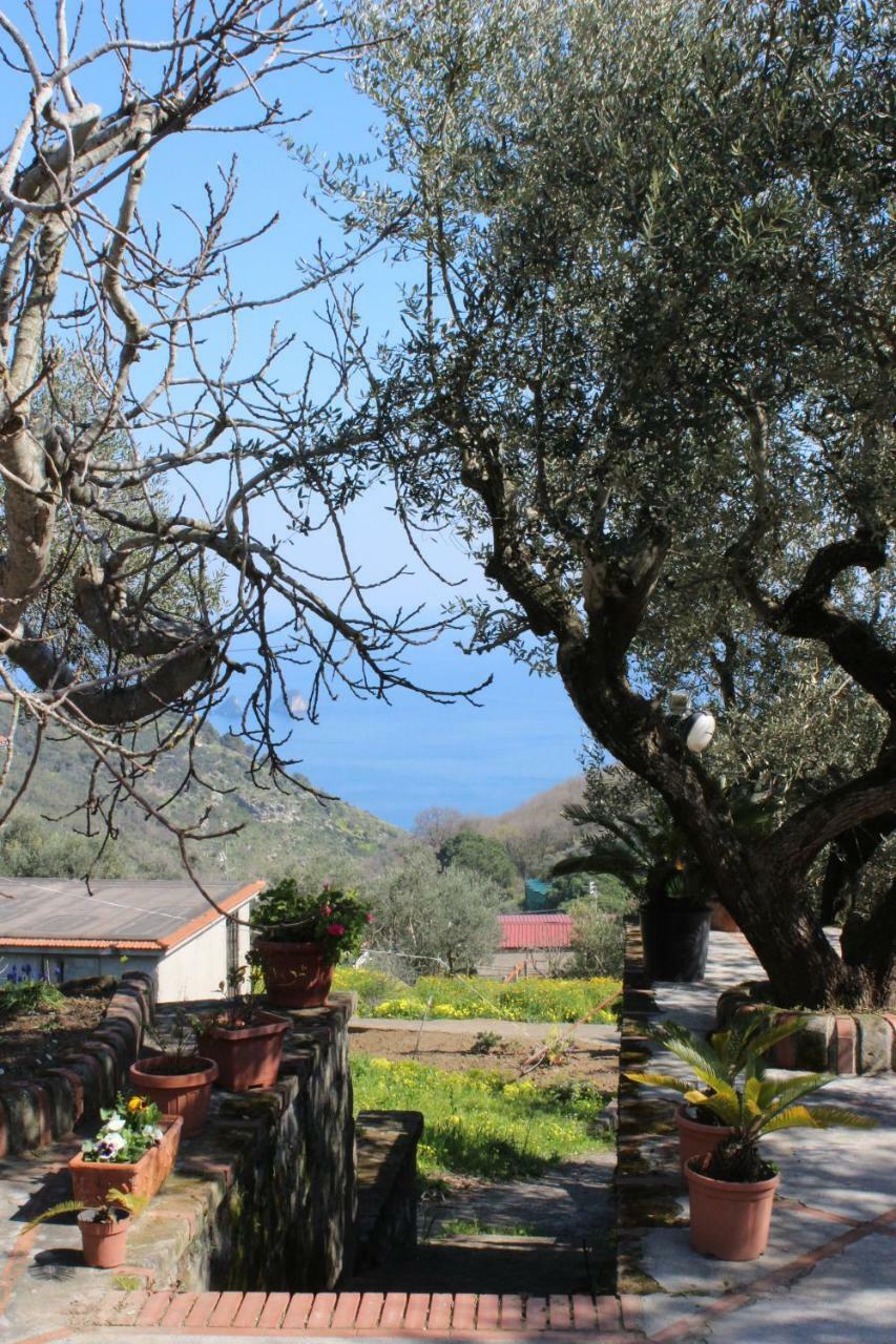 Casa Josella Villa Massa Lubrense Dış mekan fotoğraf