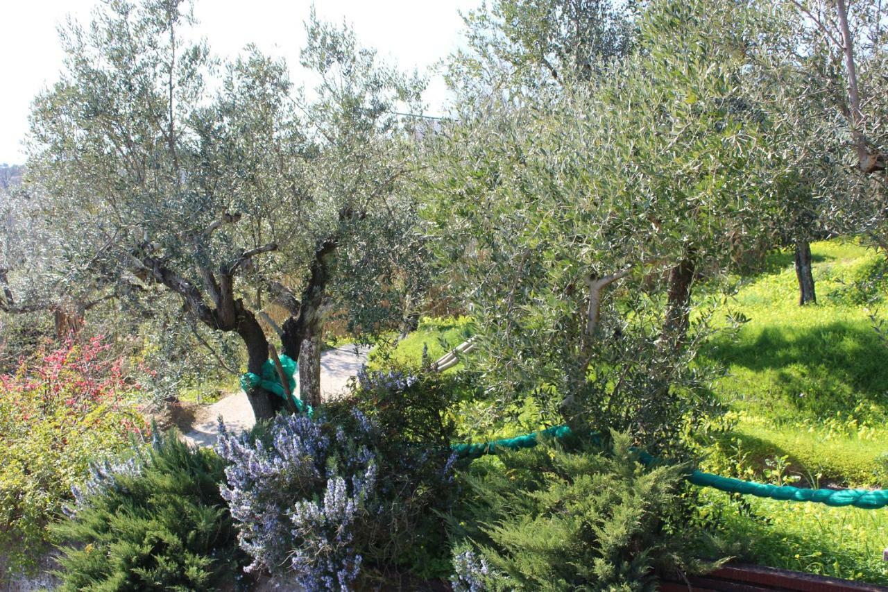 Casa Josella Villa Massa Lubrense Dış mekan fotoğraf
