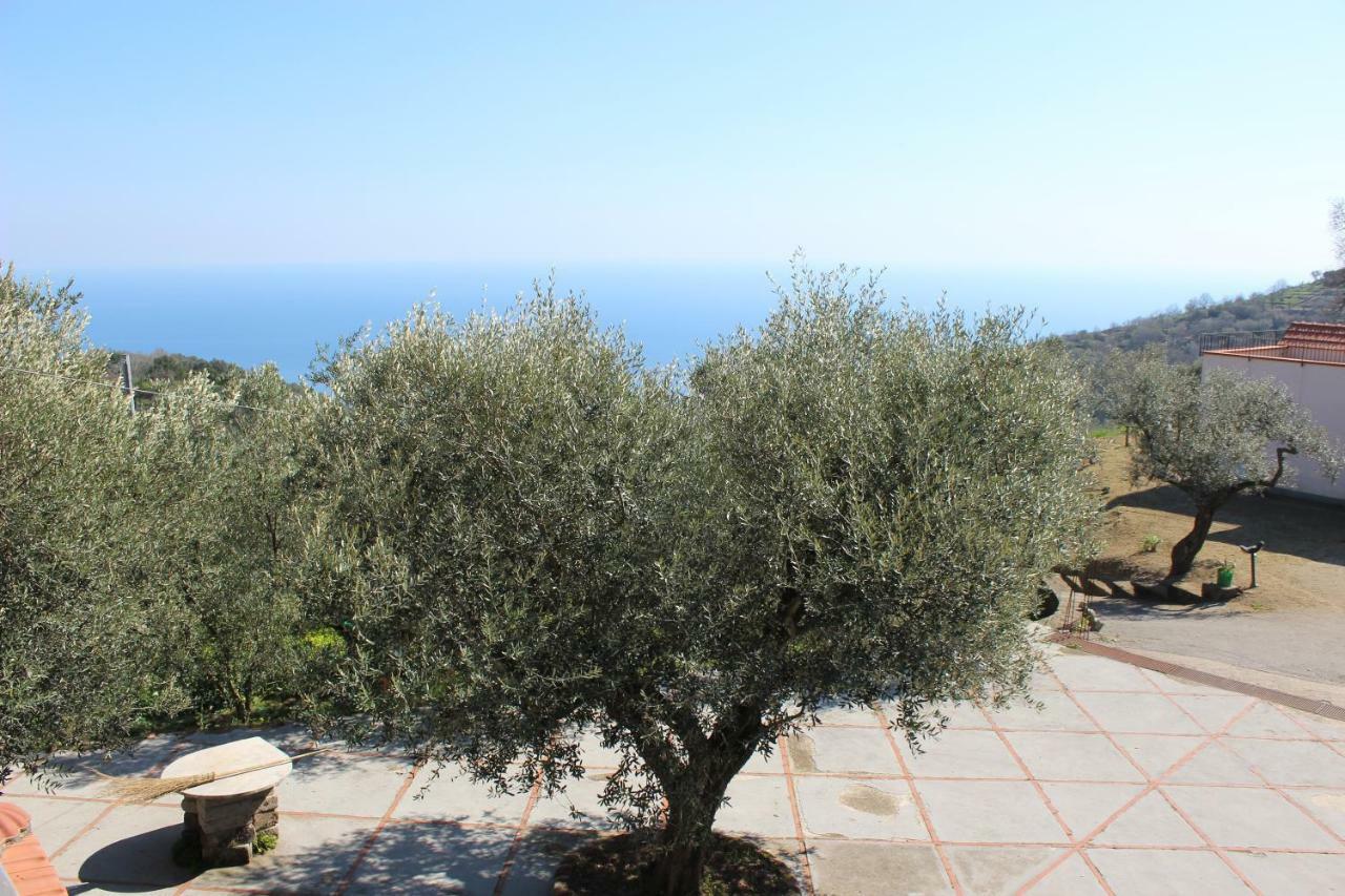 Casa Josella Villa Massa Lubrense Dış mekan fotoğraf