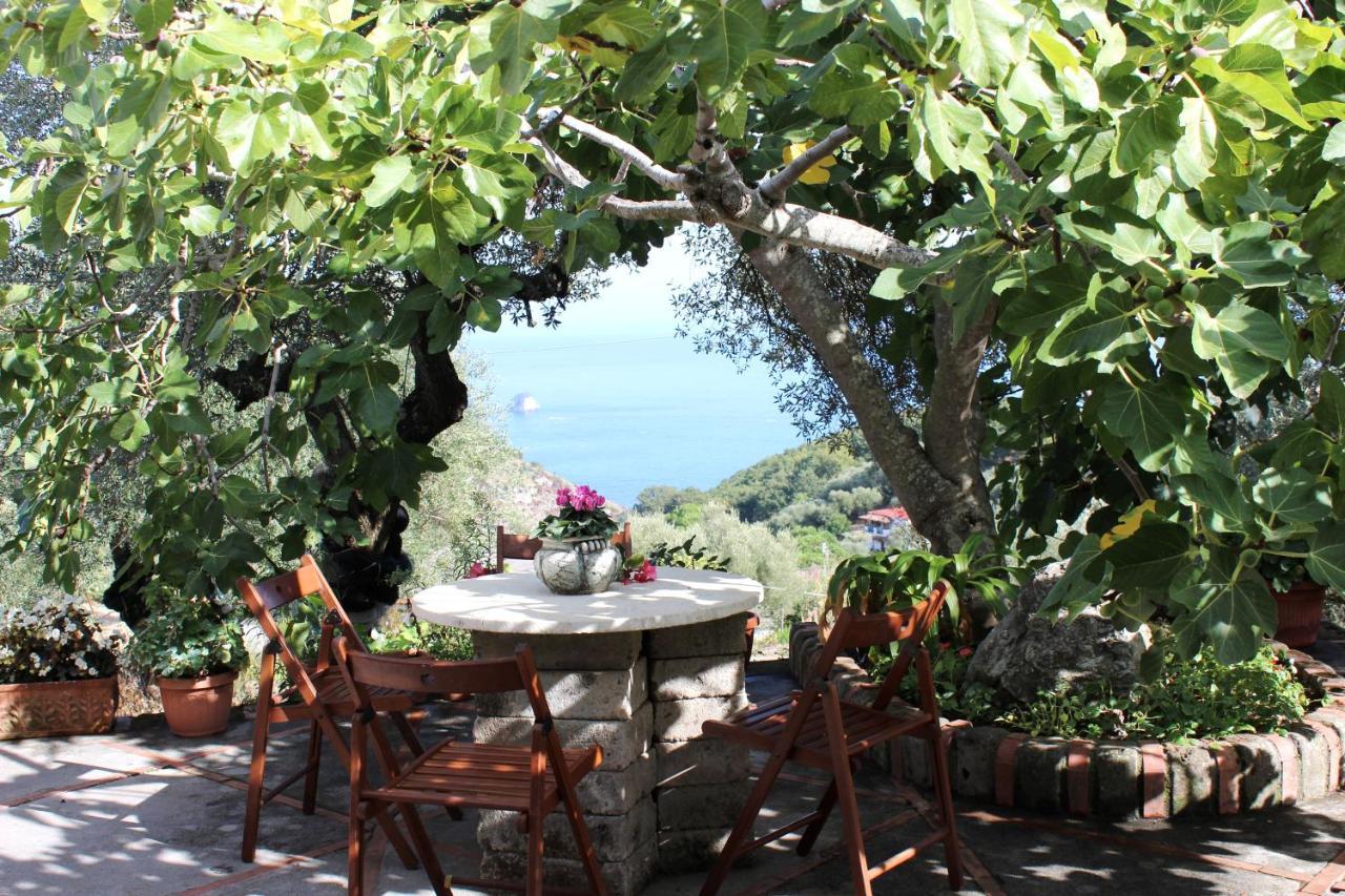 Casa Josella Villa Massa Lubrense Dış mekan fotoğraf