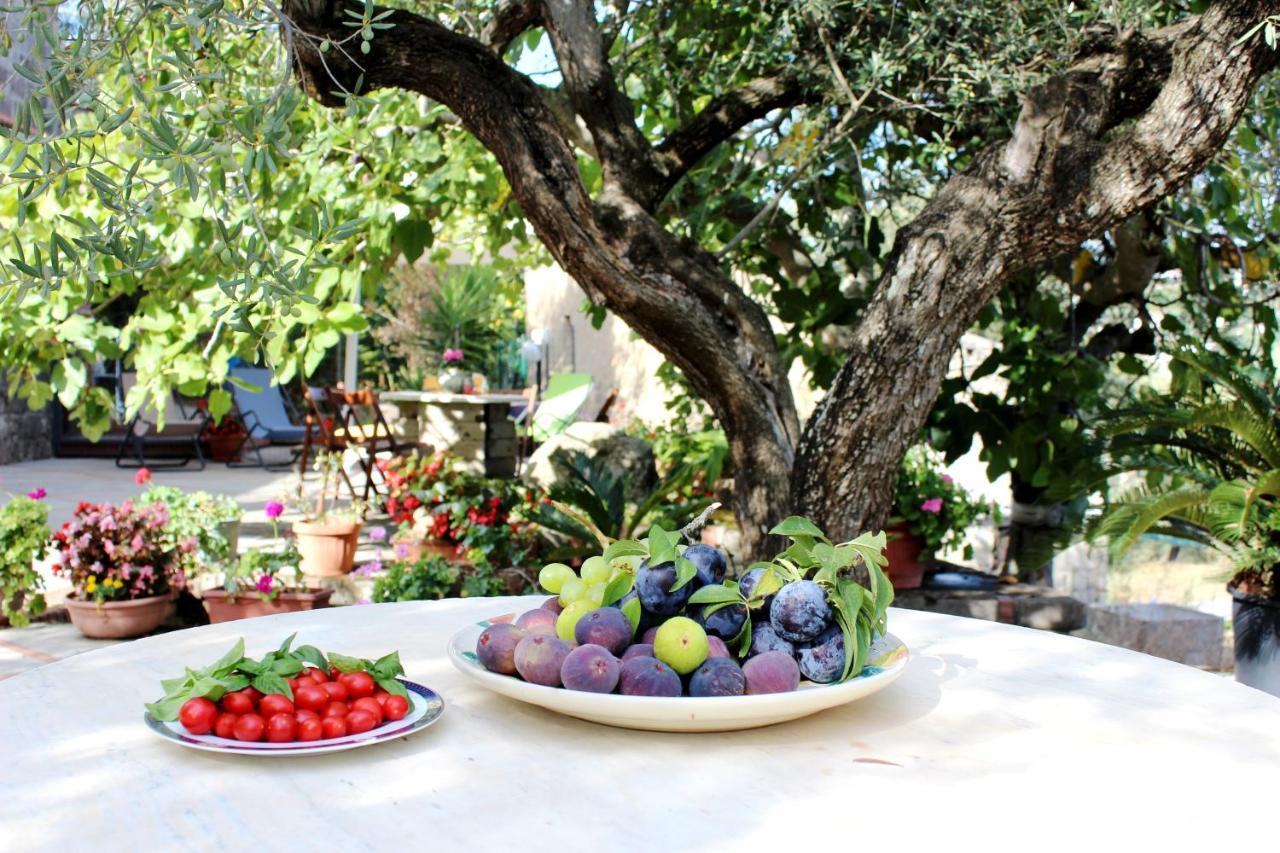 Casa Josella Villa Massa Lubrense Dış mekan fotoğraf